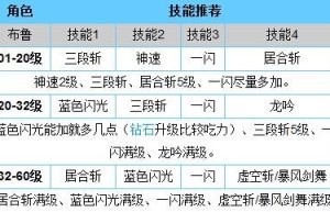 天天炫斗布鲁技能搭配，天天炫斗布鲁带什么宠物阵法（天天炫斗布鲁配什么战宠）